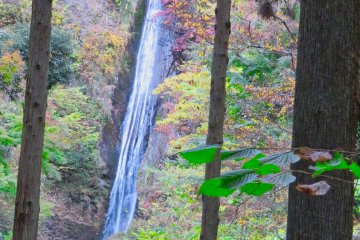 Shasui Falls from the trees