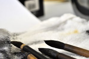 Ink brushes
