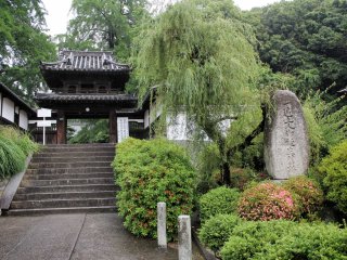 The gateway to Hogon-ji is imposing