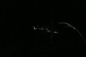 Hikers in the night
