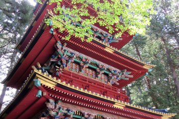 Пагода и молодые листья момидзи