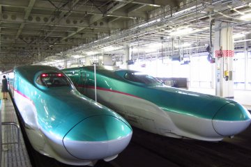 <p>Hayabusa Shinkansen</p>