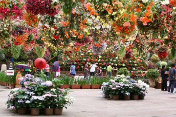 Bird and flower garden, Matsue Vogel Park