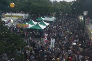 Brazil Festival: it's a big one!