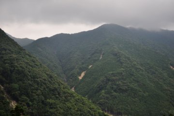 It's not Jurassic Park, it's the mountains that surround the area. The Kumano landscape is always covered with beautiful, green forest.