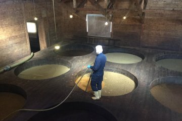Soy beans fermenting in large wood vats.