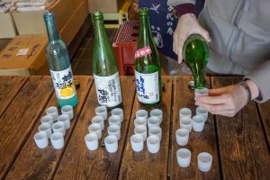 Sake tasting at Sake Brewery