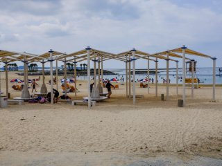 There are numerous free undercover seating options or you can rent beach lounges