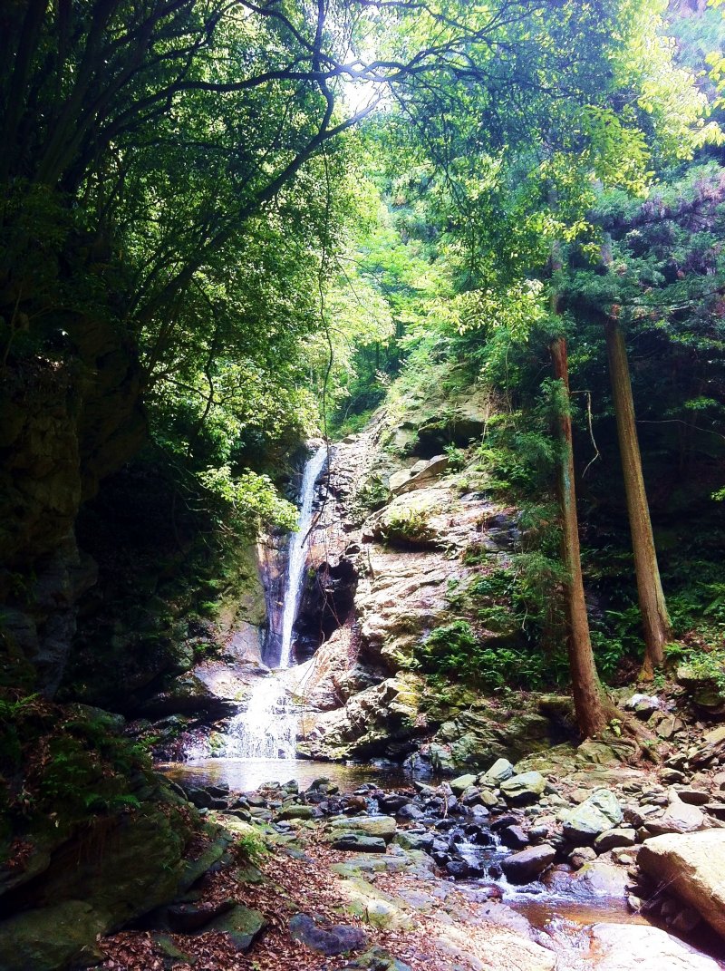 Tsugoe falls, taken from about 25m away.  The pool in front isn't too deep, but is great for getting cool!