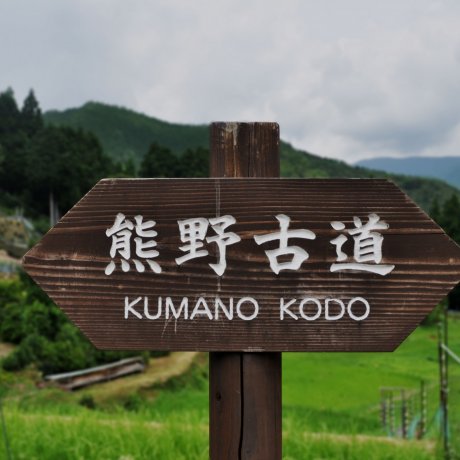 Kumano Kodo: Hosshinmon-Fushiogami