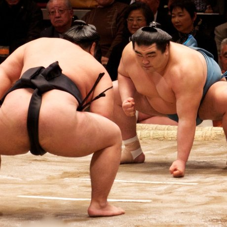 May Grand Sumo Tournament (Tokyo)