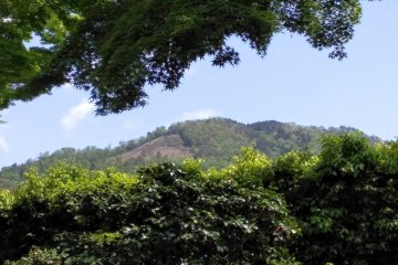 Daimonji from the ground 