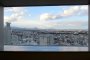 A Bird's Eye View of Sendai