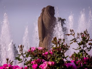 These pink roses provide a colorful foreground to this water fountain