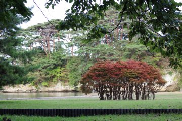 Fukuurajima contains a botanical garden with different trees and plants