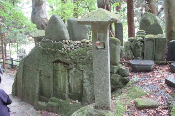 Gravestones covered in the green of time