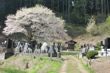 A village cemetery in Nagano