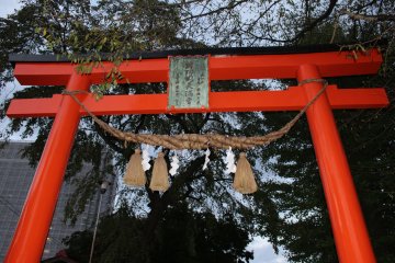 Traditional torii