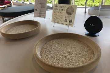 You can pick up the koji rice to feel the texture