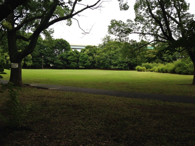 Тишина и спокойствие в парке Юмэносима