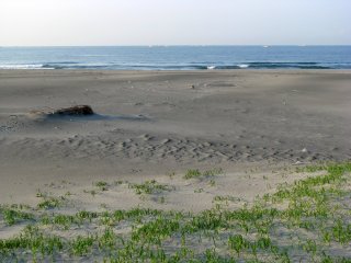 Deserted beach in April