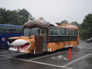 Here was one of the wildlife-themed buses used for guided tours of the park