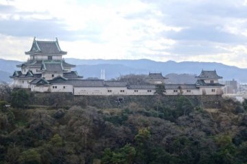 와카야마 성