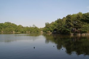 Sanpoji Pond in Nerima