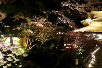 Spring illuminations at Kanga-an