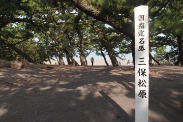 The Miho Pine Grove sits along the shore