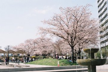 Центральный парк Синагавы возле муниципалитета Синагавы