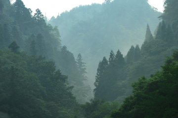 <p>View from Shinyabakei</p>
