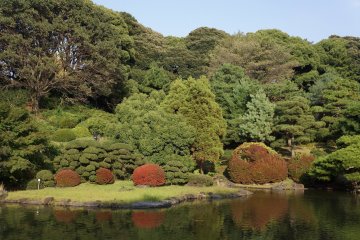 Koishikawa Botanical Garden