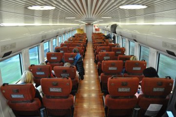 Sonic train: seats type 1