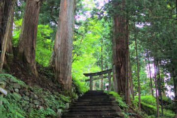 The torii of Hongu Shrine