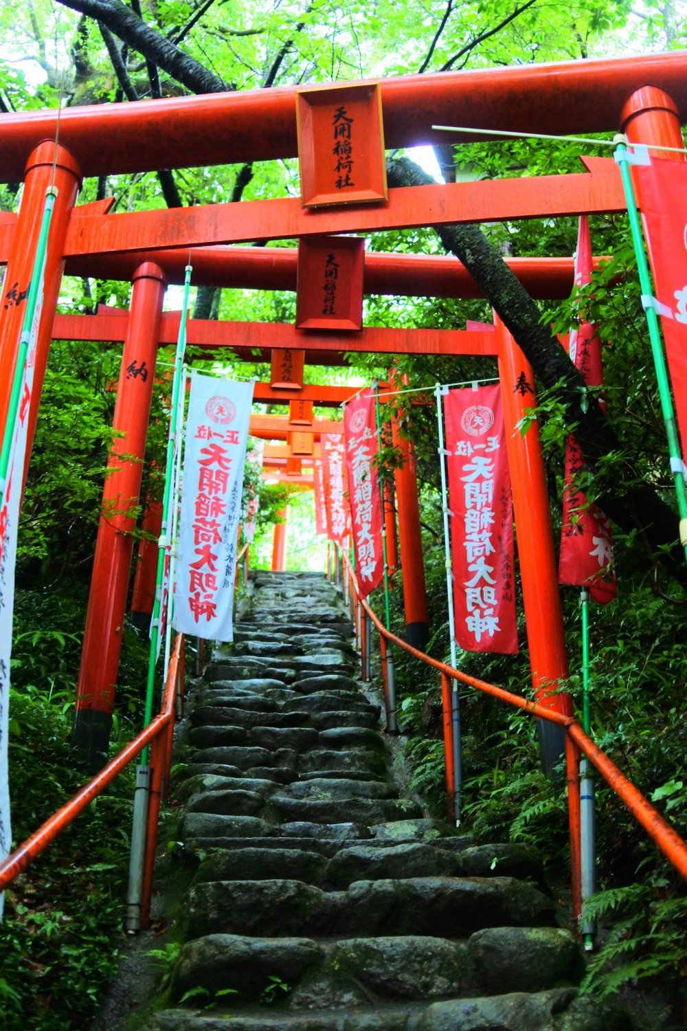 The torii towards the main building