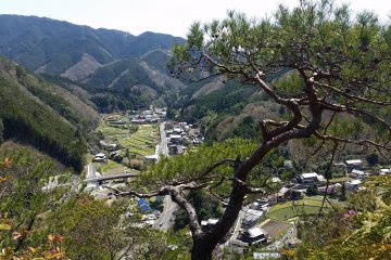 Amami village from the top of Kanaeyama