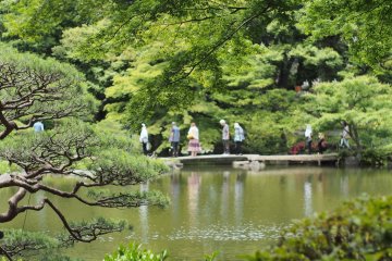 Kyu Furukawa-shi Teien Garden