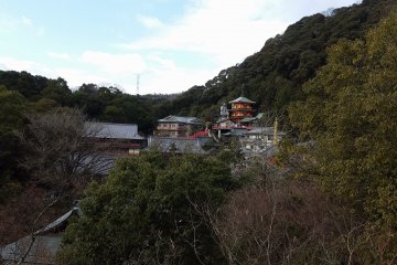 Gyokuzoin Temple which offers overnight lodgings and vegan food