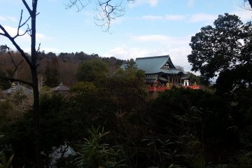 Main hall of Chogosonshi-ji viewed from the opposing hillside