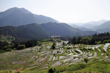 View of the Senmaida, the "1,000 rice paddies" from the top. 
