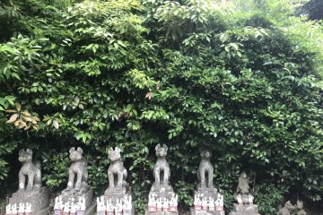 Leafy surroundings for these statues