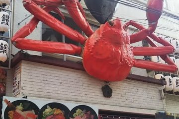 Well known Tsukiji crab.