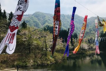 Beautiful scenery at the Osaki Dam Park