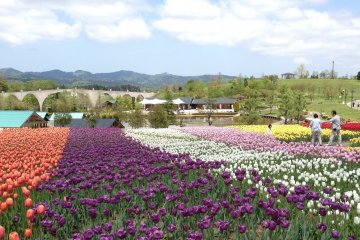 The colorful spring season at Echigo Hillside Park