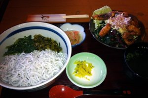 Salad tempura gurita