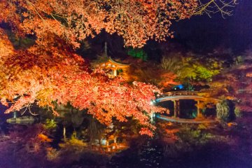 Autumn Leaves of Daigo-ji Temple