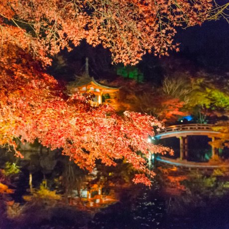 Осенняя листва в храме Дайго