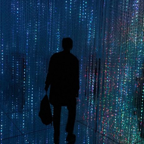 Teamlab Borderless: What a Museum!