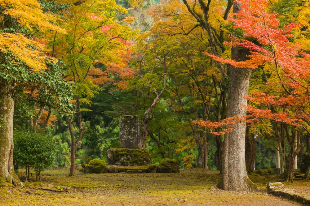 Khuôn viên rộng rãi của chùa Kogenji. Một khung cảnh tuyệt đẹp